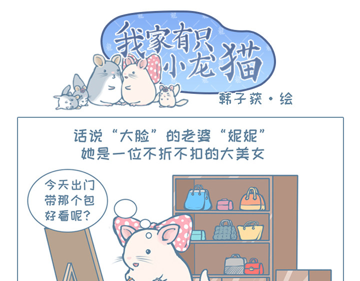 我家有只小龙猫 第6个小故事集合 第12页