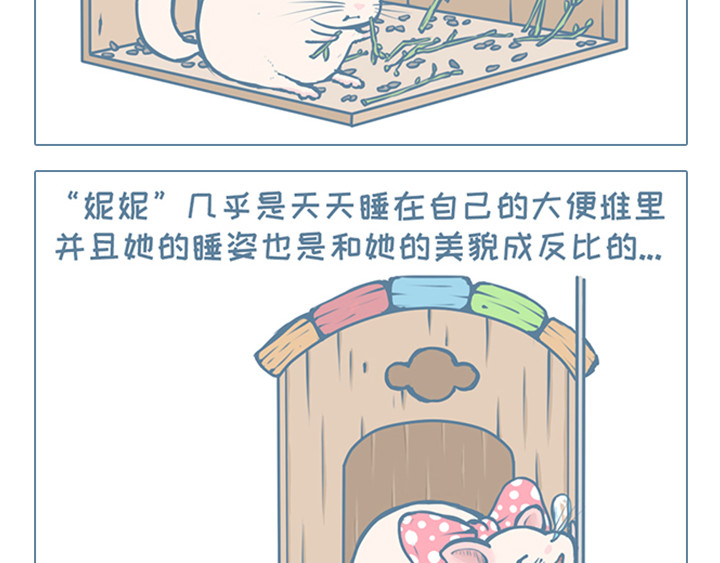 我家有只小龙猫 第6个小故事集合 第14页