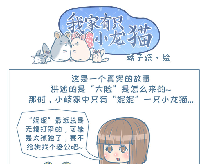 我家有只小龙猫 第6个小故事集合 第16页