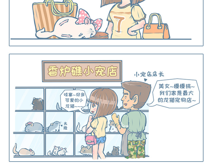 我家有只小龙猫 第6个小故事集合 第17页