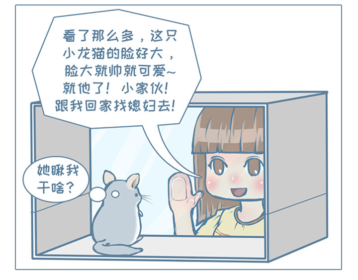 我家有只小龙猫 第6个小故事集合 第18页