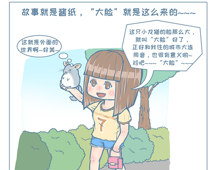 我家有只小龙猫 第6个小故事集合 第19页