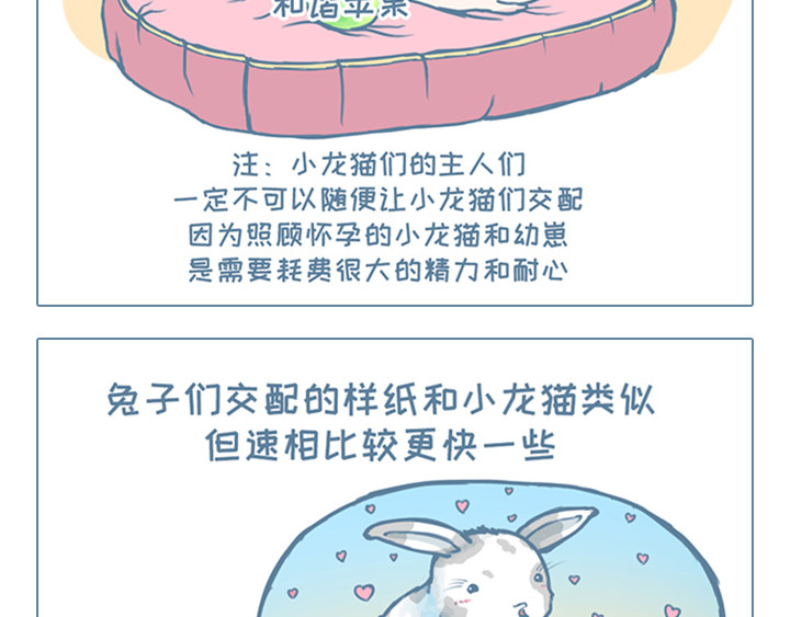 我家有只小龙猫 第6个小故事集合 第25页