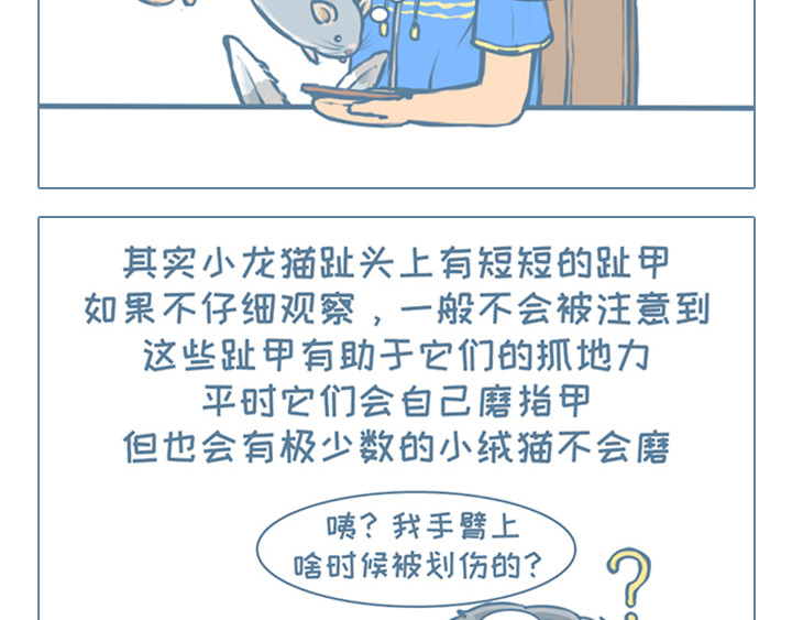我家有只小龙猫 第6个小故事集合 第7页
